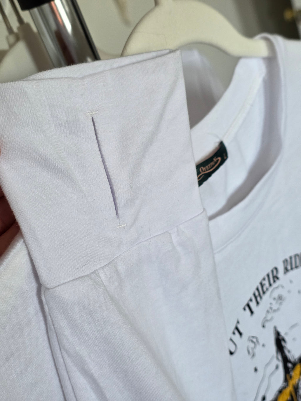 Romantasy Long-Sleeved Shirts | Velaris Shirt | ACOTAR | Fourth Wing Dragons | Book Lover Apparel | Bookish Shirt | Bibliophile Gifts